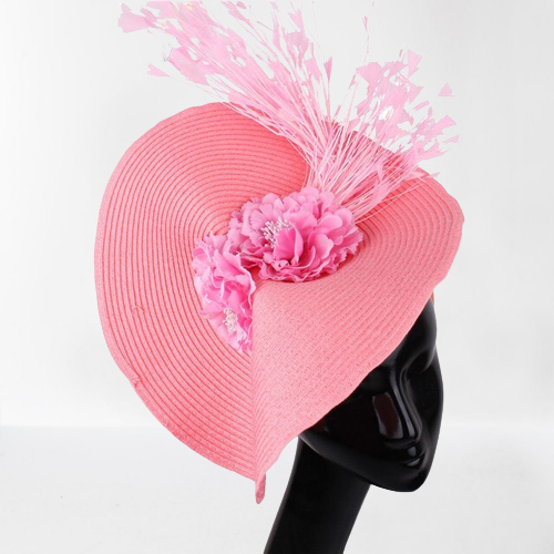 Fashion Hat For Ladies